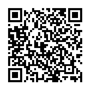 院长大人和几个院领导现在对柳逸尘的看法都已经变了二维码生成