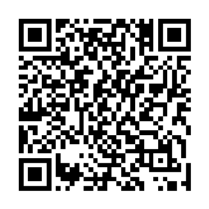 除了……一道淡淡的声音在逐渐平静的幽冥鬼气中窜动着二维码生成