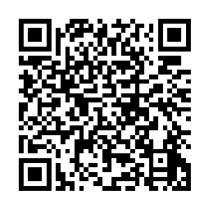 除了一些冒死的佣兵会来这里捕捉一种叫做空鱼的凶兽二维码生成