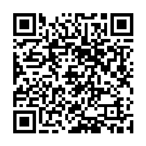 除了一些无比珍贵的天才地宝有强悍的禁制的守护之外二维码生成