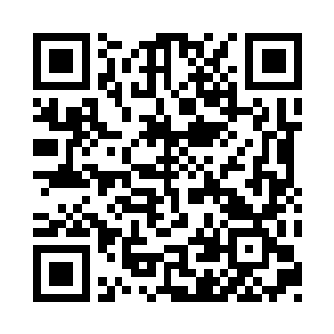 除了一只从不离身的法力龙作为宠物之外二维码生成