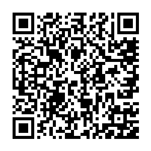 除了一种威力不知的吞融神通和一项以自残灵体拼凑而成的普通法宝之外二维码生成