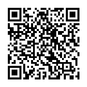 除了上一次在血冥关跟那个冥月大帝隔空交手了一下之后二维码生成