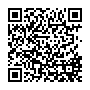 除了两名马来西亚籍男性工作人员主要负责在笔记本电脑上记录二维码生成