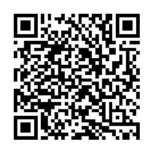 除了个别其实是想借机把女生约出去胡天胡地的伪球迷二维码生成