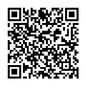 除了个别智商和三观比较正常的角色……比如曾良君二维码生成