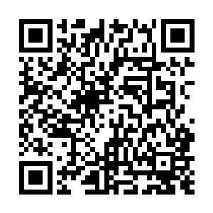 除了中午也没有太多的时间陪着你一小姑娘疯疯癫癫的二维码生成