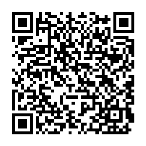 除了临近河北诸路的涿州等地已经有苦命的选官硬着头皮去上任之外二维码生成