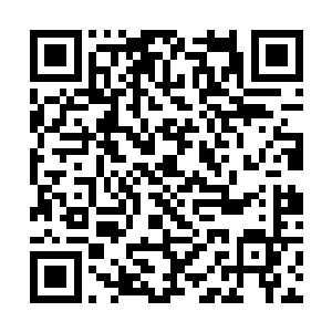 除了为首那雪鸢与其他使者都是淡然中带着些微满意二维码生成