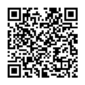 除了人才市场就是在工地上跟一群满身是臭汗的男人混迹在一起二维码生成