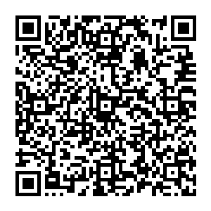 除了从候鸟议会手里得到了之前约定好的两片原初之叶以及一份关于突破人类身体极限的秘笈之外二维码生成