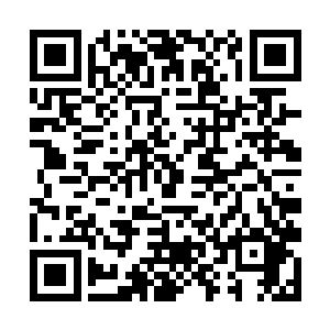 除了他本王想不出会是谁这般恰巧地派人来刺杀本王二维码生成