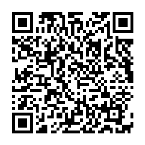 除了他自己那组是他自己外加两个荒地勇士和两名二阶人类战士之外二维码生成