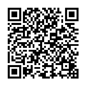 除了依靠吞噬生机灵髓灵土和其他吞魂凶灵身上的生机之外二维码生成