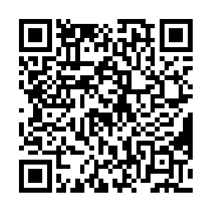 除了偶尔尝试一些不需要木灵玉的低级药材练练手之外二维码生成