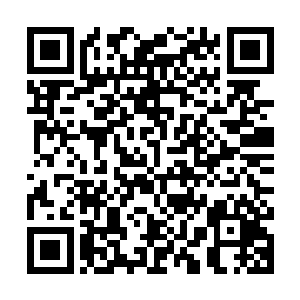 除了几只阴属性混沌凶兽以及少数鬼物之外并无武道之人的气息二维码生成