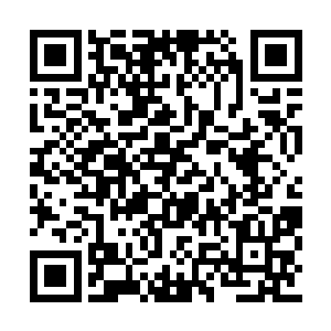 除了凤族的王者一族还在口口相传这个信息之外二维码生成