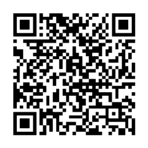 除了刚开始想要设计对付那对渣男渣女时动了脑子外二维码生成