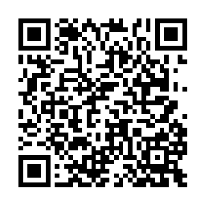 除了前几次冒出这个念头的时候他很快就清醒过来二维码生成