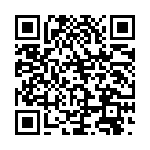 除了前面几辆车的车牌介乎牛a和牛c之间外二维码生成
