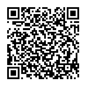 除了化丹境圆满的铁爪秃鹫和其背后的灵兽宫核心弟子的哥哥之外二维码生成
