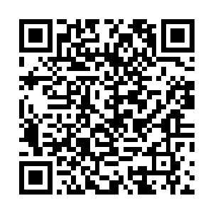 除了原联之外还真难有其他人能够将刀从苏叶手中拿过来二维码生成
