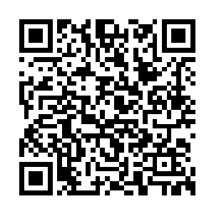 除了叶秋和黄埔云这对已经公开的未婚情侣之外二维码生成