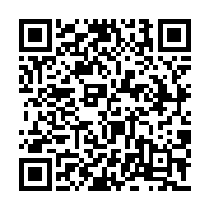 除了唐森还坐在床铺下摆弄起了他的笔记本电脑二维码生成