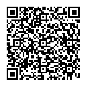 除了唯独威力最为强横的大天威剑式和天杀地劫剑式以及新领悟不久的生生不息剑式二维码生成