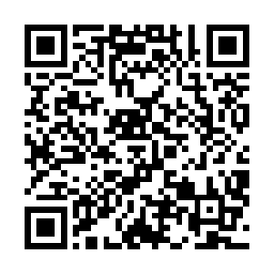 除了因为这是奥运会历史上第一个跨大项选手参加的比赛二维码生成