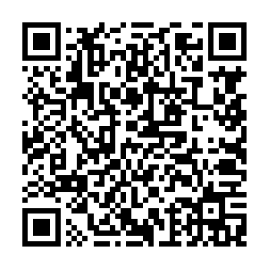 除了在小镇中心的那个广场上改造出来的训练场上还会有一点声音和响动之外二维码生成