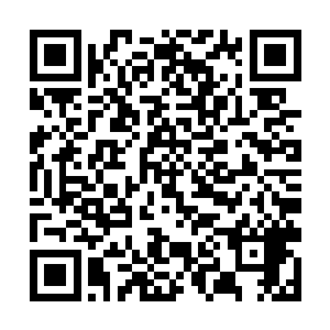 除了在张家家里会有管家仆役称呼张阳为大少爷之外二维码生成