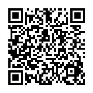 除了在面前能够感觉到那股恶魔般的凶悍气息外二维码生成