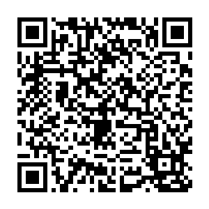 除了地上的那滩热血和那些倒地的茶几破碎的花盆证明他们曾经来过二维码生成