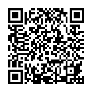 除了地上那破损的长剑证明了刚才确实发生了些什么之外二维码生成