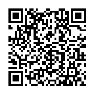 除了地下有七条还没启动的通往不同地方的逃生暗道之外二维码生成