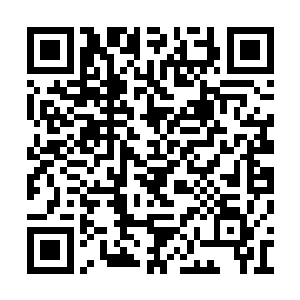 除了墨颜带着一脸好奇的心情来看了下他们两人二维码生成