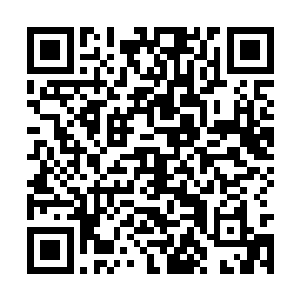 除了夏家的几个人之外没有人知道他的师门是什么二维码生成