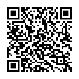 除了大人在两殿还真没人敢把她们两个给怎么样二维码生成