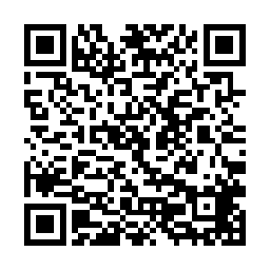 除了大师兄乾空和孟帆泽还有伤势未愈的三师姐以外二维码生成