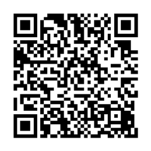 除了大首领下面的银牌长老数量会多上那么几位二维码生成