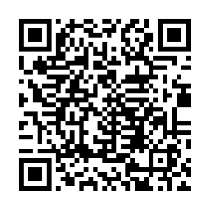 除了天机派的绝天还有天圣宗的大长老两个法则强者之外二维码生成