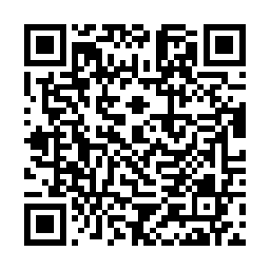 除了它的位置是位于大帝皇城之内显得有些特殊以外二维码生成