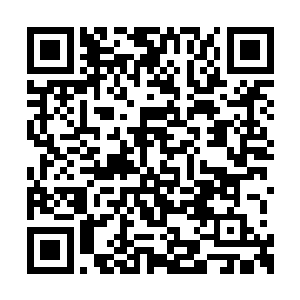 除了对上级单位所提供的情报仔细进行研究之外二维码生成