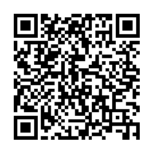 除了对这处地方的景物有一种朦胧而陌生的熟悉感外二维码生成