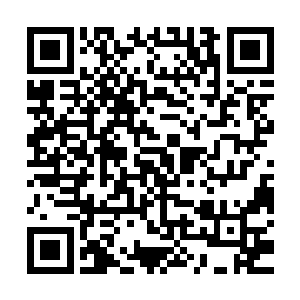 除了小金和小灵两人脸上挂着好奇之色打量着圣弃界一干强者外二维码生成