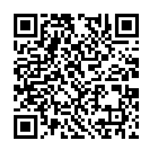 除了少数几个躲在暗处没有遭到毒手的普通人之外二维码生成