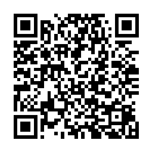 除了当时一起在褚冰冰经营的那间西餐厅一起做过表演之外二维码生成