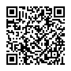 除了您说的几样我连一只蚂蚁都不带动您这里的二维码生成