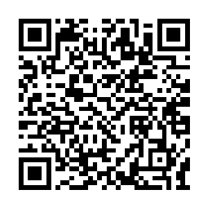 除了我们这些外界达到一定程度的仙家知根知底二维码生成